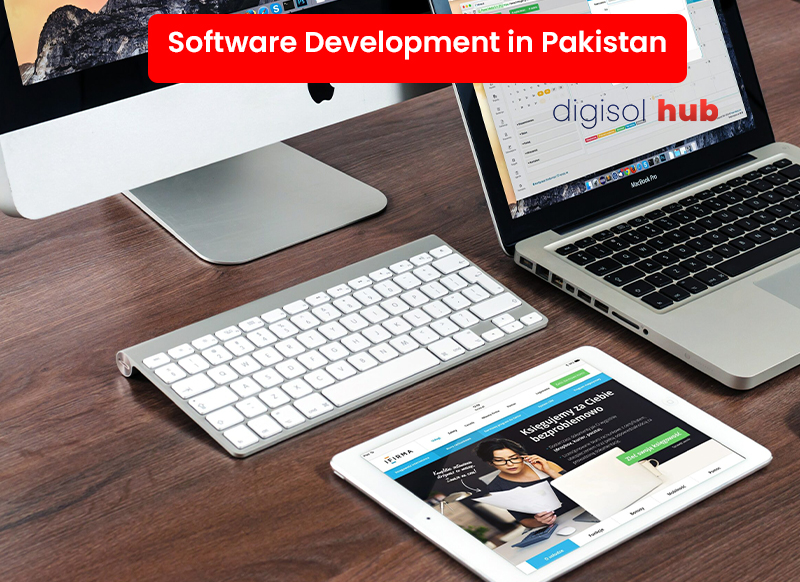 Software Development Company in Pakistan