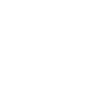 ginger.pk